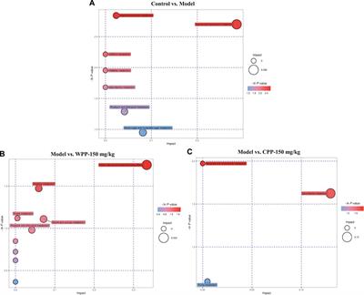 Anti-Gout Effects of the Medicinal Fungus Phellinus igniarius in Hyperuricaemia and Acute Gouty Arthritis Rat Models